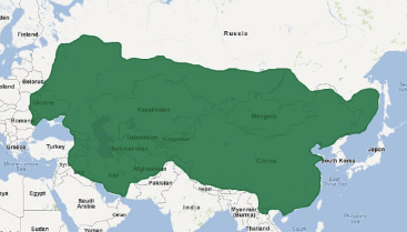 Map:Gbiu2nwmqei= Genghis Khan