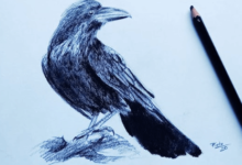 Art:K2tlm28aay4= Crow