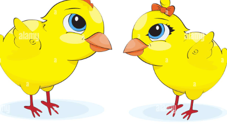 Clipart:1oifb4uv1r0= Chicken