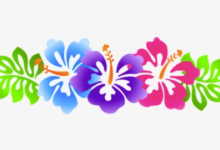 Clipart:R5hk-Xlkdh8= Hawaiian Flower