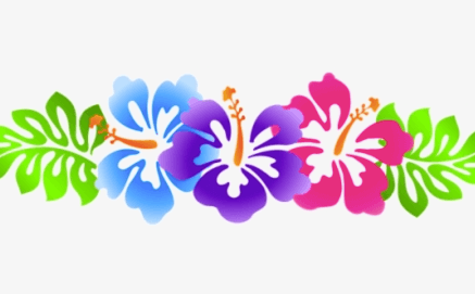 Clipart:R5hk-Xlkdh8= Hawaiian Flower