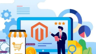 Magento Development Services