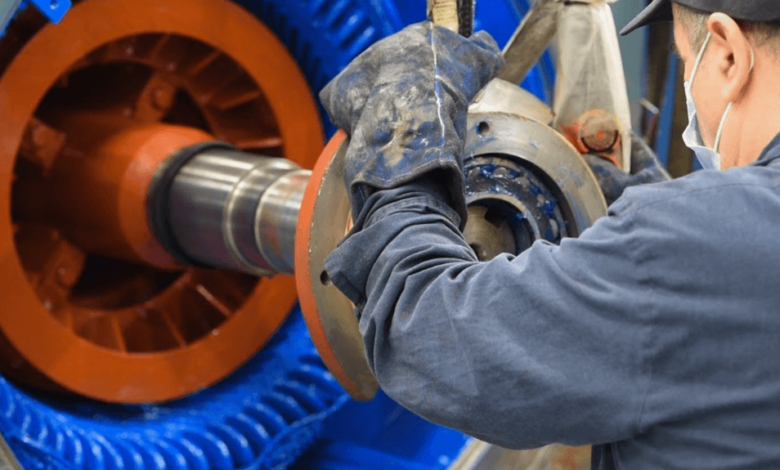 Understanding Motor Bearing Types