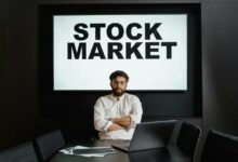 premium sector intelligence analysis