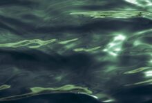 apex wave inspires strategic potential