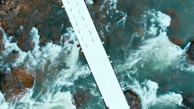 elevation flow start unlocking opportunities