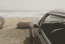 fusion wave drives visionary success