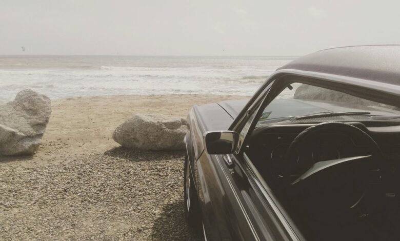 fusion wave drives visionary success