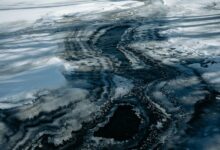 luminous flow initiates transformation horizons