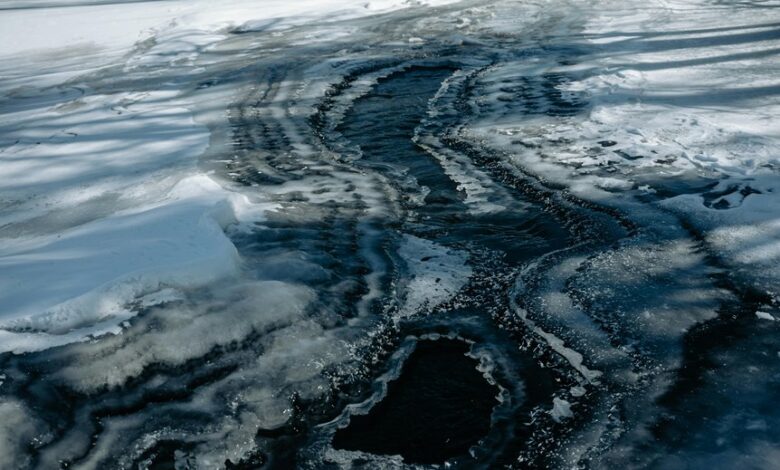 luminous flow initiates transformation horizons