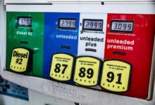 momentum arc start fueling transformative opportunities