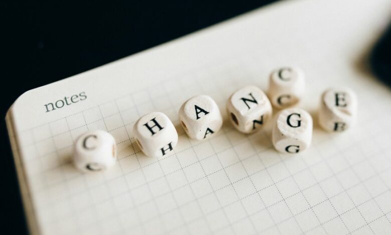 stellar flow start leadership transformation