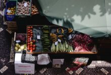 stellar flow start shaping market