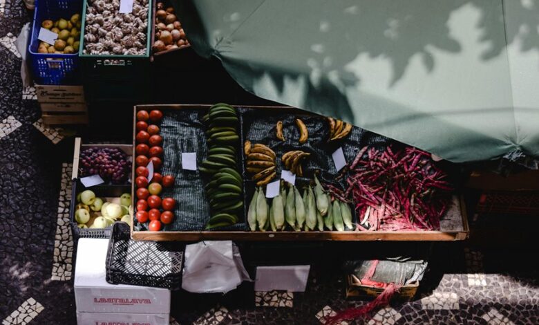 stellar flow start shaping market