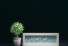 stellar surge start 18009206188