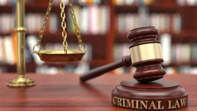 Guardians of Justice Understanding the Role of Criminal Defense Lawyers
