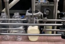 An In - depth Look at the Process