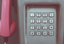 public number registry search results