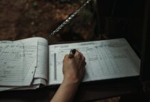 querying public registry numbers and records