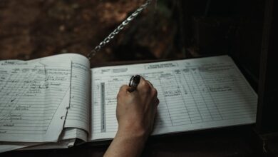 querying public registry numbers and records