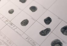 registry lookup numbers for five entries