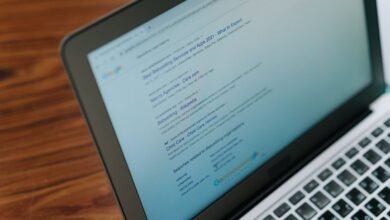 registry lookup results for various ids