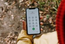 registry numbers and findings listed