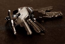 review registry entry numbers 3662563555 3701110192 3509050366 3339677094 3278932057