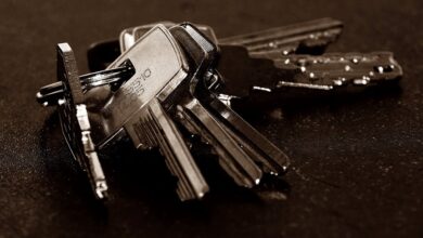 review registry entry numbers 3662563555 3701110192 3509050366 3339677094 3278932057
