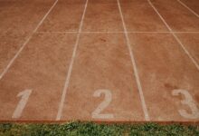 track verified number profiles for 5 numbers