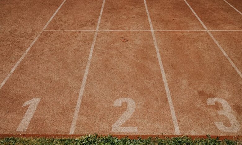 track verified number profiles for 5 numbers