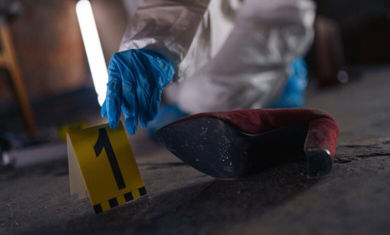 verify registry evidence numbers 3533208167 3299689224 3511339142 3510909386 3516496177